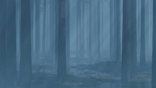 Ethereal Misty Forest at Dawn High Resolution 4K Desktop Wallpaper