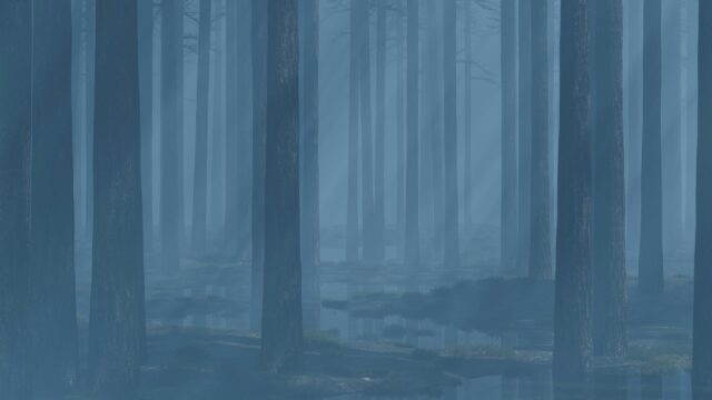 Ethereal Misty Forest at Dawn High Resolution 4K Desktop Wallpaper