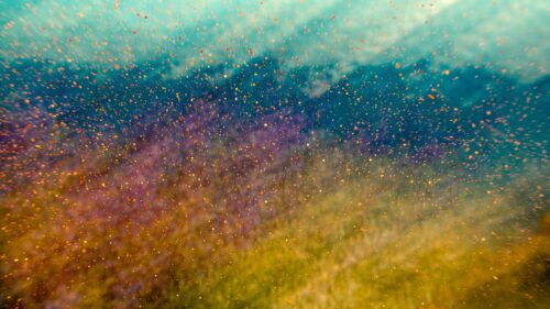 Abstract Golden Dust Particles and Magical Bokeh Light Desktop Wallpaper