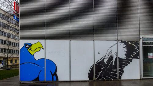 Abstract Bird Street Art Mural Contrast 4K Wallpaper