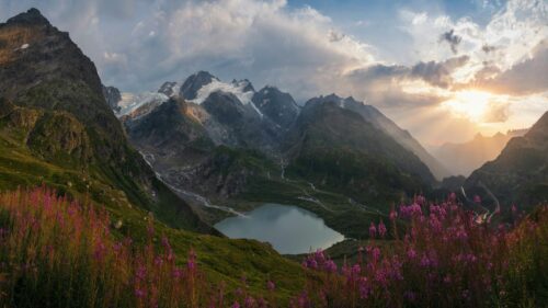 Stunning Alpine Lake at Sunset with Purple Wildflowers PC Wallpaper