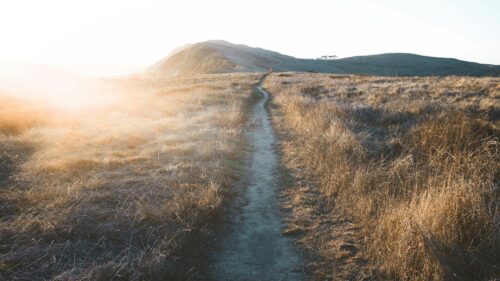 Golden Sunset Hiking Trail on Rolling Hills Desktop Wallpaper