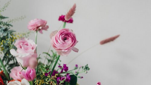 Elegant Pink Ranunculus and Floral Bouquet PC Wallpaper