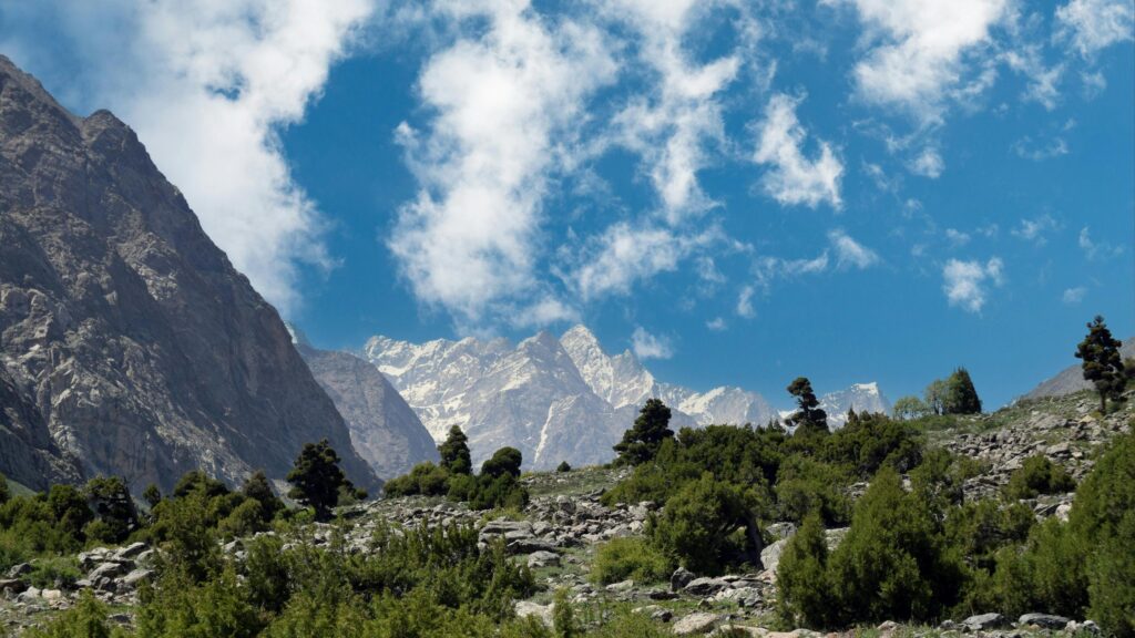 Majestic Himalayan Mountain Peaks and Green Pine Forest Desktop Wallpaper