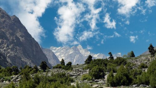 Majestic Himalayan Mountain Peaks and Green Pine Forest Desktop Wallpaper