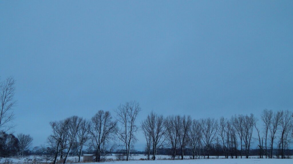 Snowy Winter Landscape with Bare Trees at Twilight PC Wallpaper
