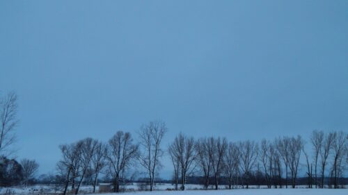 Snowy Winter Landscape with Bare Trees at Twilight PC Wallpaper