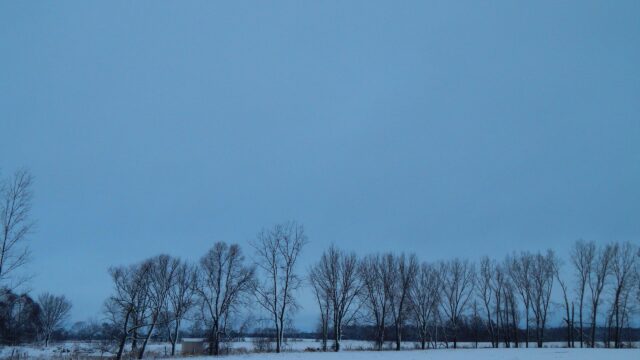 Snowy Winter Landscape with Bare Trees at Twilight PC Wallpaper