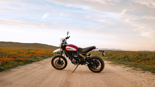 Ducati Scrambler Desert Sled on Dusty Road in Wildflower Field Desktop Wallpaper