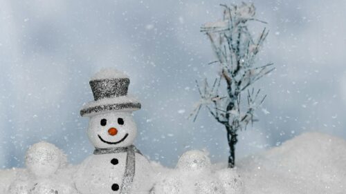 Cute Silver Glitter Snowman in Snowy Forest Desktop Wallpaper