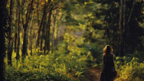 Woman Walking Along a Sunlit Forest Path Desktop Wallpaper