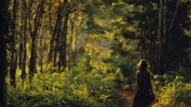Woman Walking Along a Sunlit Forest Path Desktop Wallpaper