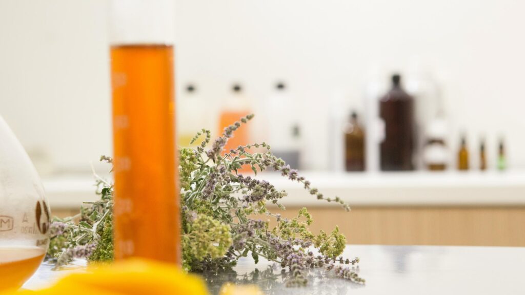 Laboratory Herb Botanical Science Still Life 4K Desktop Wallpaper