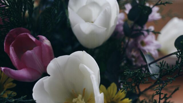 Elegant Pink and White Tulips Spring Floral Arrangement 4K Wallpaper