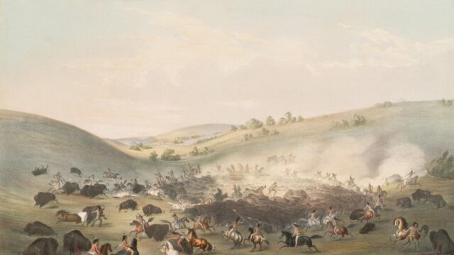 Native American Buffalo Hunt Historic Illustration Desktop Wallpaper
