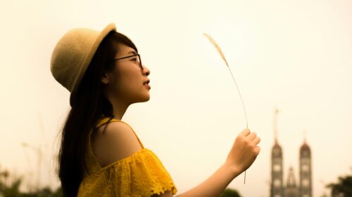 Asian Girl Holding Tall Grass in Summer Sunset Desktop Wallpaper
