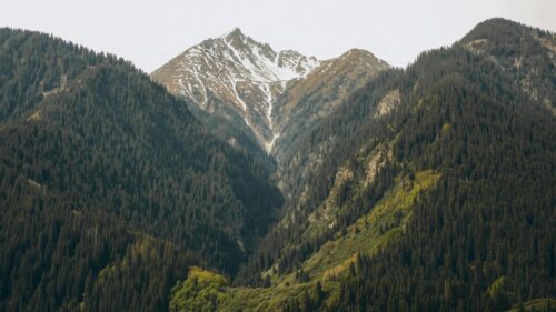 Majestic Snowy Mountain Peak and Pine Forest Landscape 4K Wallpaper