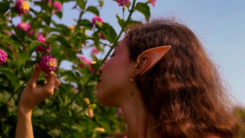 Fantasy Elf Girl Touching Pink Flowers in Sunlight 4K Desktop Wallpaper
