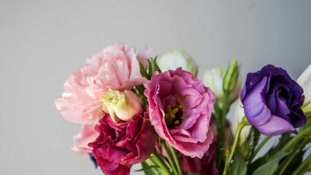 Stunning Pink and Purple Eustoma Flower Bouquet Desktop Wallpaper