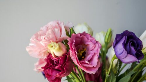 Stunning Pink and Purple Eustoma Flower Bouquet Desktop Wallpaper