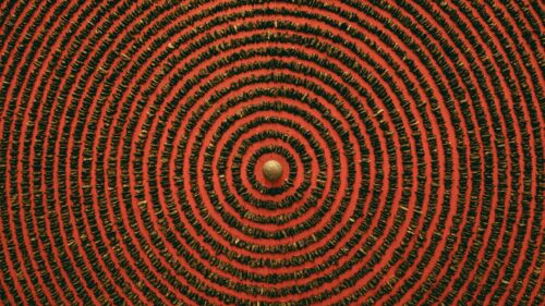 Gold Leaf Concentric Circles Pattern Abstract 4K Wallpaper