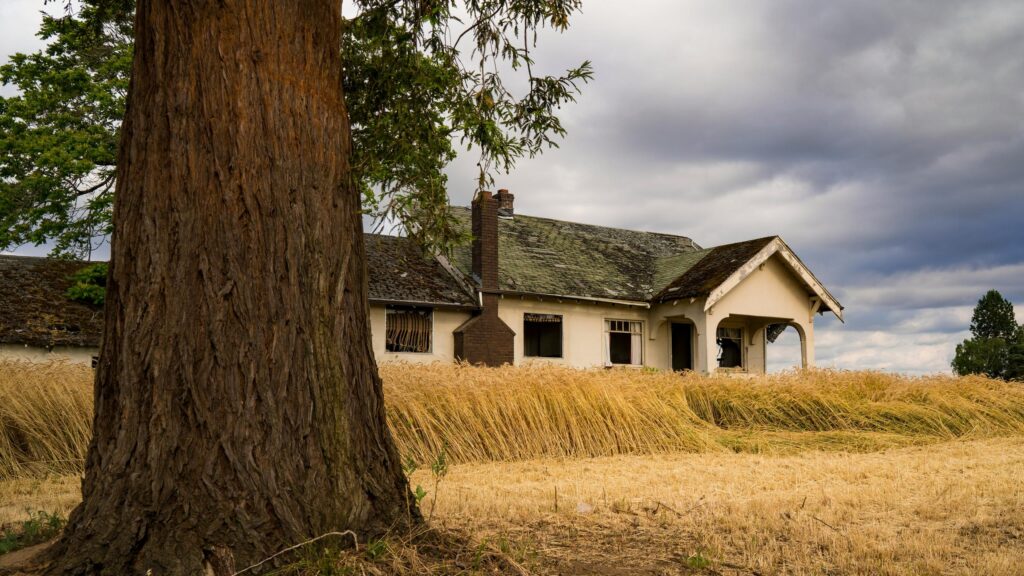 Abandoned Farmhouse in Golden Wheat Field Desktop Wallpaper