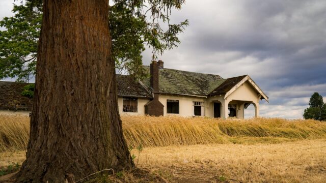 Abandoned Farmhouse in Golden Wheat Field Desktop Wallpaper