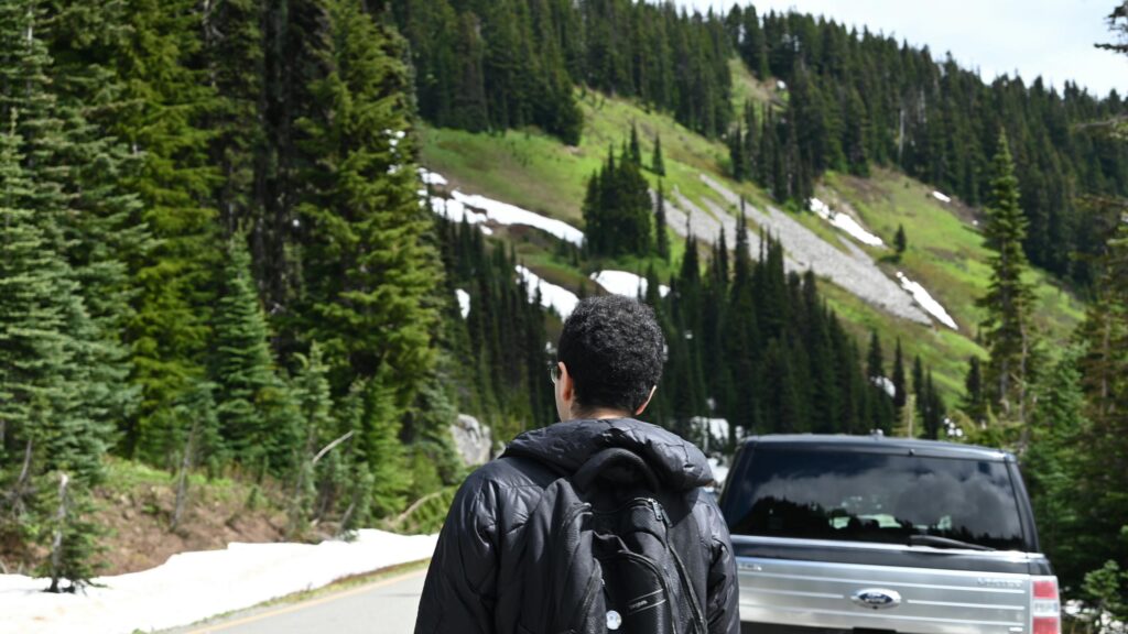 Person Standing Before Scenic Mountain Road and Pine Forest 4K Wallpaper