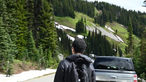 Person Standing Before Scenic Mountain Road and Pine Forest 4K Wallpaper
