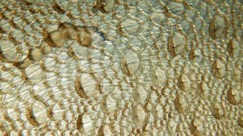 Abstract Macro Golden Bubble Foam Texture 4K Desktop Wallpaper