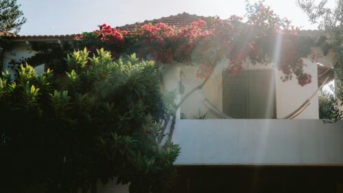 Sunlit Mediterranean House with Blooming Bougainvillea Desktop Wallpaper