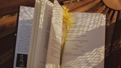 Open Book with Yellow Flowers on Wooden Bench 4K Wallpaper