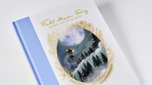 Full Moon Fairy Under the Snow Moon Fantasy Art Desktop Wallpaper