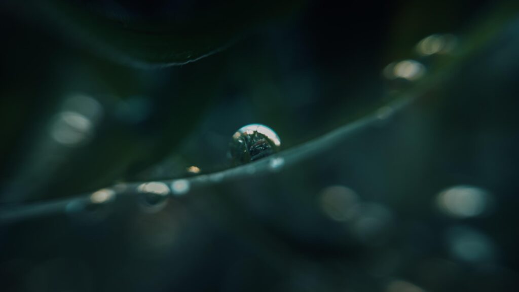 Macro Photography of Raindrops on a Green Leaf 4K Desktop Wallpaper