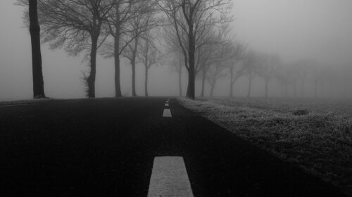 Eerie Foggy Country Road Through Bare Trees Black and White 4K Wallpaper