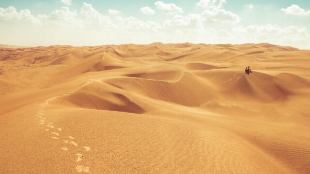 Solitude in the Golden Desert Dunes Landscape 4K Wallpaper