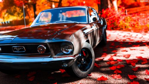 Classic Vintage Ford Mustang in Autumn Forest Setting 4K Desktop Wallpaper