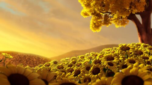 Stunning Golden Sunflower Field Under Sunset Sky Desktop Wallpaper