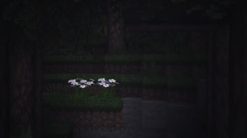 Minimalist Minecraft Dark Forest Oxeye Daisy Flowers 4K Wallpaper