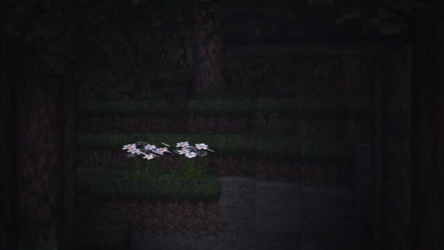 Minimalist Minecraft Dark Forest Oxeye Daisy Flowers 4K Wallpaper