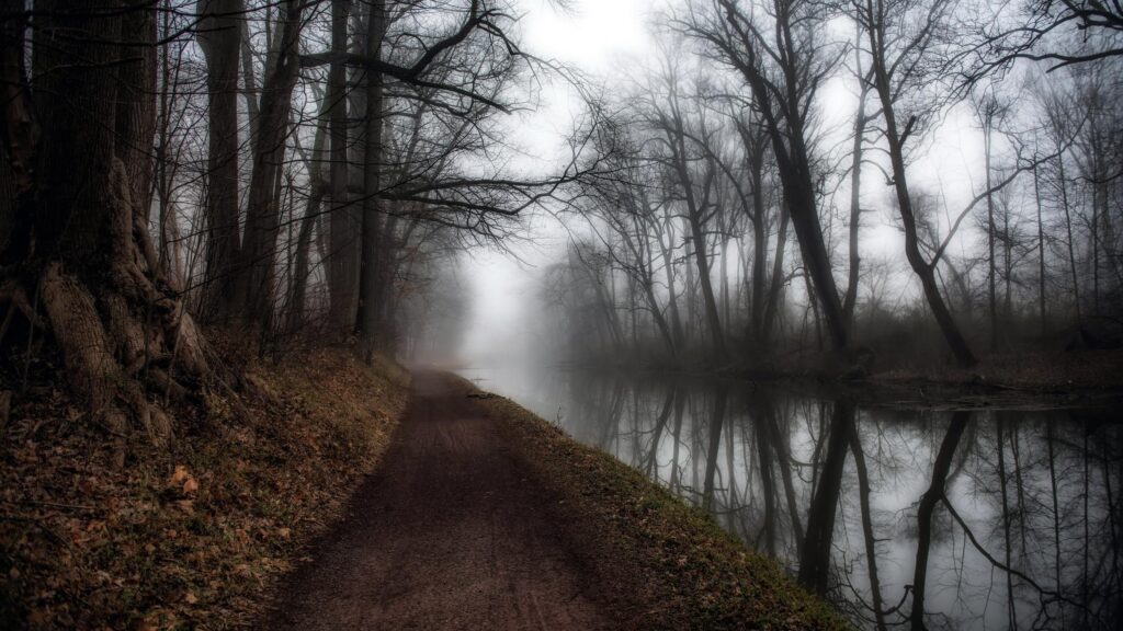 Misty Forest Path Along a Quiet River Desktop Wallpaper