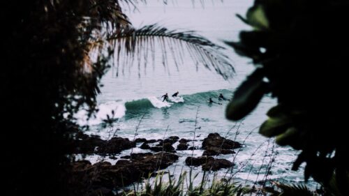 Surfers Catching Ocean Waves Framed by Coastal Foliage Desktop Wallpaper