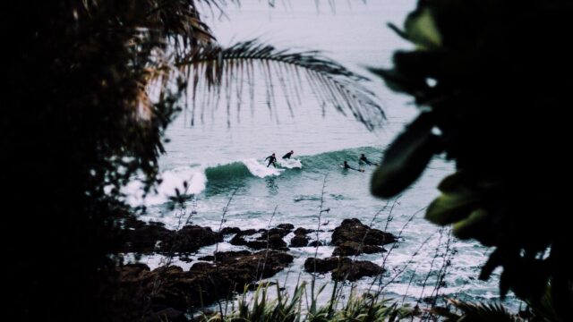 Surfers Catching Ocean Waves Framed by Coastal Foliage Desktop Wallpaper