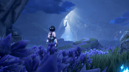 Anime Girl in Mysterious Blue Enchanted Forest Desktop Wallpaper