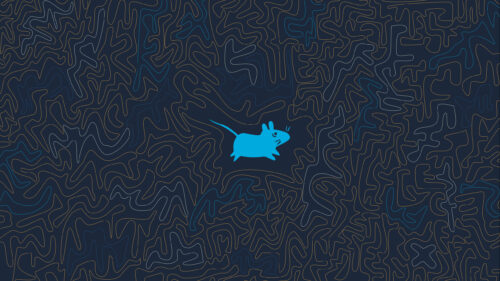 Minimalist Blue Mouse Surrounded by Abstract Line Art Desktop Wallpaper