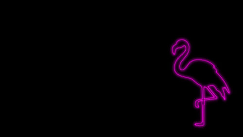 Minimalist Pink Neon Flamingo Silhouette on Black Background 4K Wallpaper