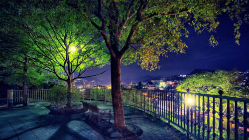 Nighttime Park Overlook City View with Bench and Trees 4K Wallpaper