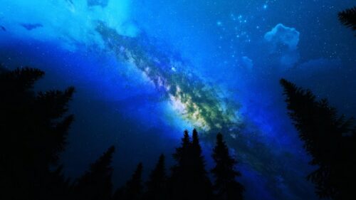 Breathtaking Milky Way Galaxy Over Silhouetted Pine Forest 4K Desktop Wallpaper