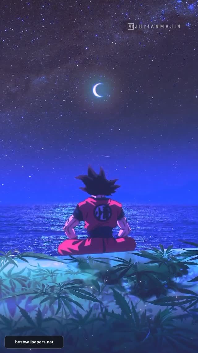 Goku Meditating Under the Stars Anime Aesthetic Wallpaper